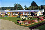ANCHORAGE MOTEL - Te Anau