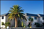 BLENHEIM PALMS MOTEL - Blenheim