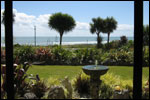 BLUEWAVES - Barrytown, West Coast