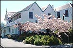 GREYTOWN HOTEL - Wairarapa