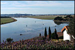 HAWKHILL COTTAGE - Napier, Hawkes Bay