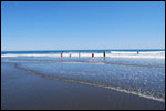 ISLAND VIEW FAMILY HOLIDAY PARK - Opotiki