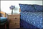 ABEL TASMAN MOTEL AND TOURIST LODGE - Motueka
