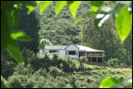 BRIDGE TO NOWHERE LODGE - Ramanui, Whanganui River