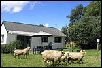 BROEKHAVEN COUNTRY COTTAGE - Hamurana, Rotorua