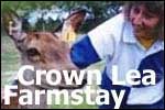 CROWN LEA - Fiordland