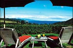 EARTHSONG LODGE - Great Barrier Island