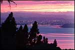 FRINGE OF HEAVEN RETREAT - Titirangi, Auckland