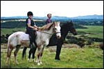 KOWHAI EQUESTRIAN FARM STAY - Oxford