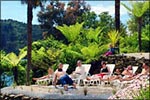 LOCHMARA LODGE WILDLIFE RECOVERY & ARTS CENTRE - Marlborough Sounds