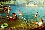 MIRANDA HOLIDAY PARK - Waitakaruru