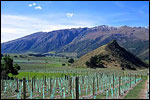 MT ROSA LODGE - Gibbston Valley, Queenstown