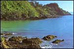 PALM BEACH BUNGALOWS - Waiheke Island, Auckland
