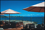 THE COVE - Taupo