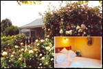 SWANSDOWN COTTAGE - Marlborough