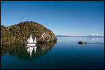 THE POINT VILLAS - Taupo
