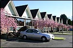 ASCOT PARK HOTEL - Invercargill