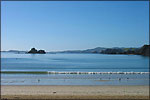 BEACH ESCAPE HOLIDAY HOMES - Oakura Bay, Omapere and Opononi, Northland